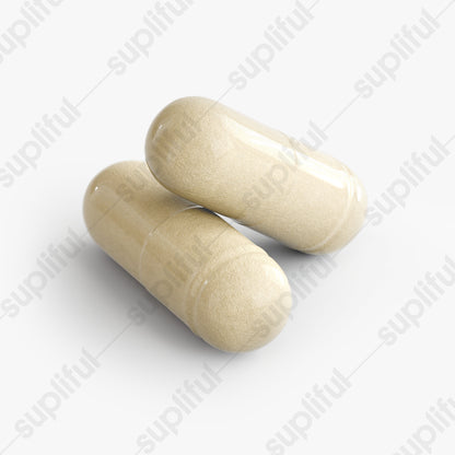 Gut Balance+